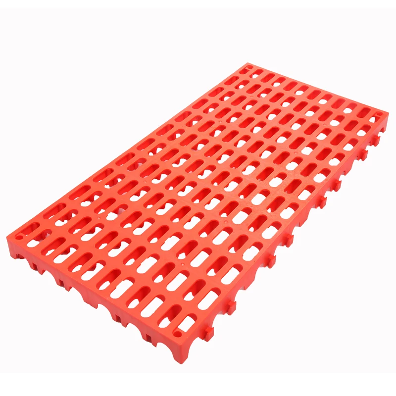 5cm Thickness Interlocking Plastic Slat Floor Mat Chicken Farm Buy