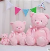 Stuffed Plush Animals Cute Soft Toys Pink & Blue Teddy Bears Kids Room Decoration Enfant Birthday Gift Baby Doll Toy