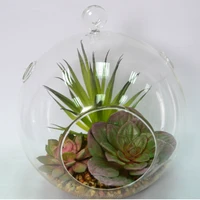 

Mixed Artificial Plant succulent in Terrarium