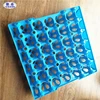 2019 Most Popular Colorful Plastic Egg Tray For Egg Package