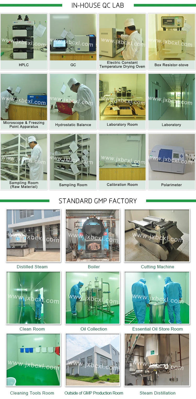 Eucalyptus Essential Oil 99% Cineole Eucalyptol best price manufacturer Natural