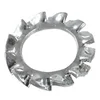 Serrated lock washer with external teeth