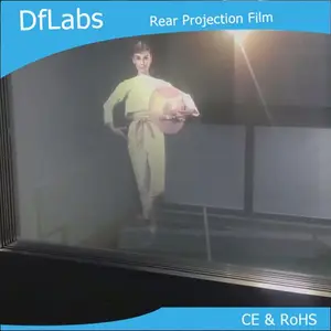 Holographic Optical Rear Projection Screen Film