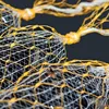 HDPE plastic net growing for oyster