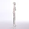 BIX-A1001 180CM durable human skeleton model