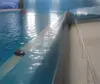 Outdoor Transparent Acrylic Glass Swimming Pool