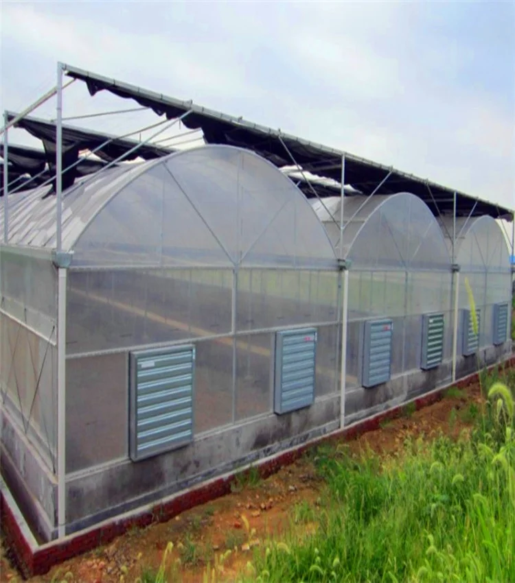 
easy installed Agricultural Plastic film Greenhouse project from China 