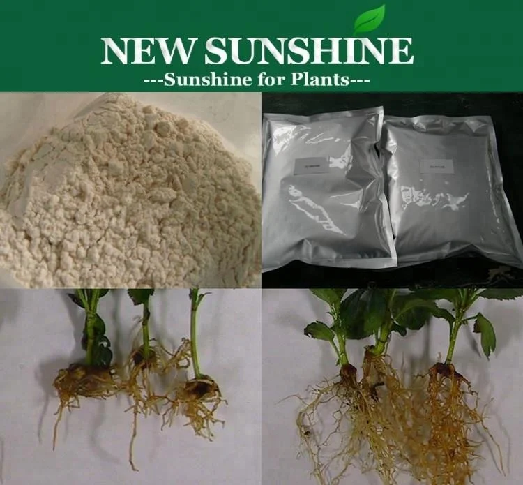 rooting hormone IBA.jpg