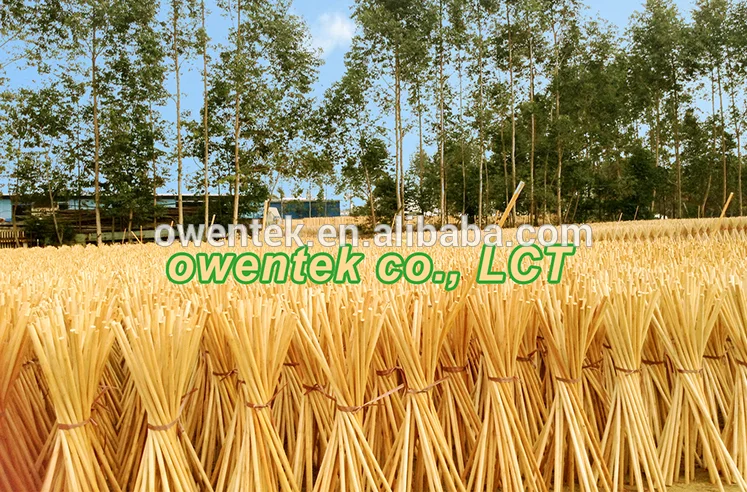 004.png