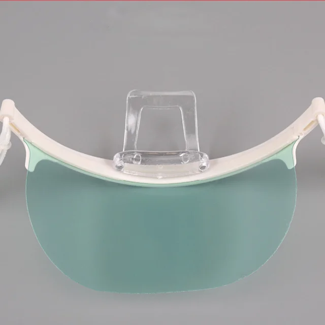 
Protective Food Processing Healthcare Industry Plastic Face Mask With Logo 