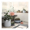 China suppliers outdoor concrete silicon plante simulation green plant and flower pot