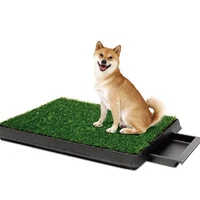 

Pet Artificial Grass Bathroom Mat Portable Dog Potty