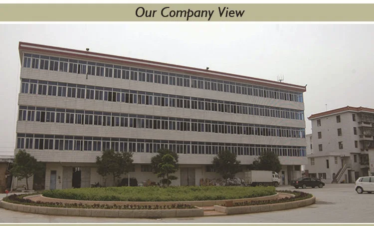 Our Company View.jpg