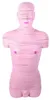 Human Anatomial Section Model