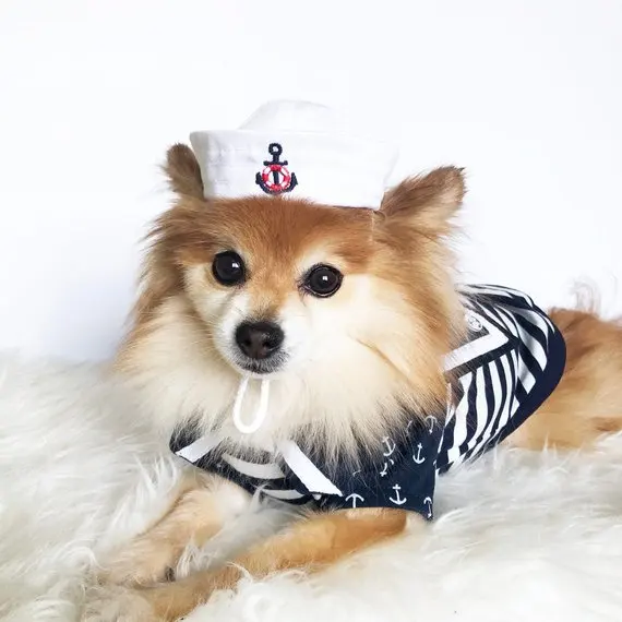 New Design Party Pet Hat Clothing Sailor Hat Dog Costumes For Small Dog