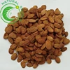 Tao Ren Hot Selling Natural Chinese herb Dried Peach Kernel Seeds For Hot Sale