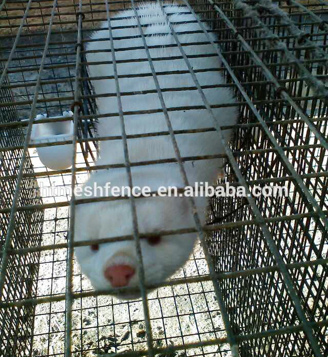 Welded Wire Mesh Mink Breeding Cage Metal Quail Cage For Sale Buy