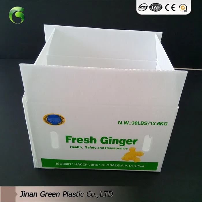 2019 Green Brand Lettuce Boxes Buy Lettuce Boxes,Lettuce Box,Lettuce