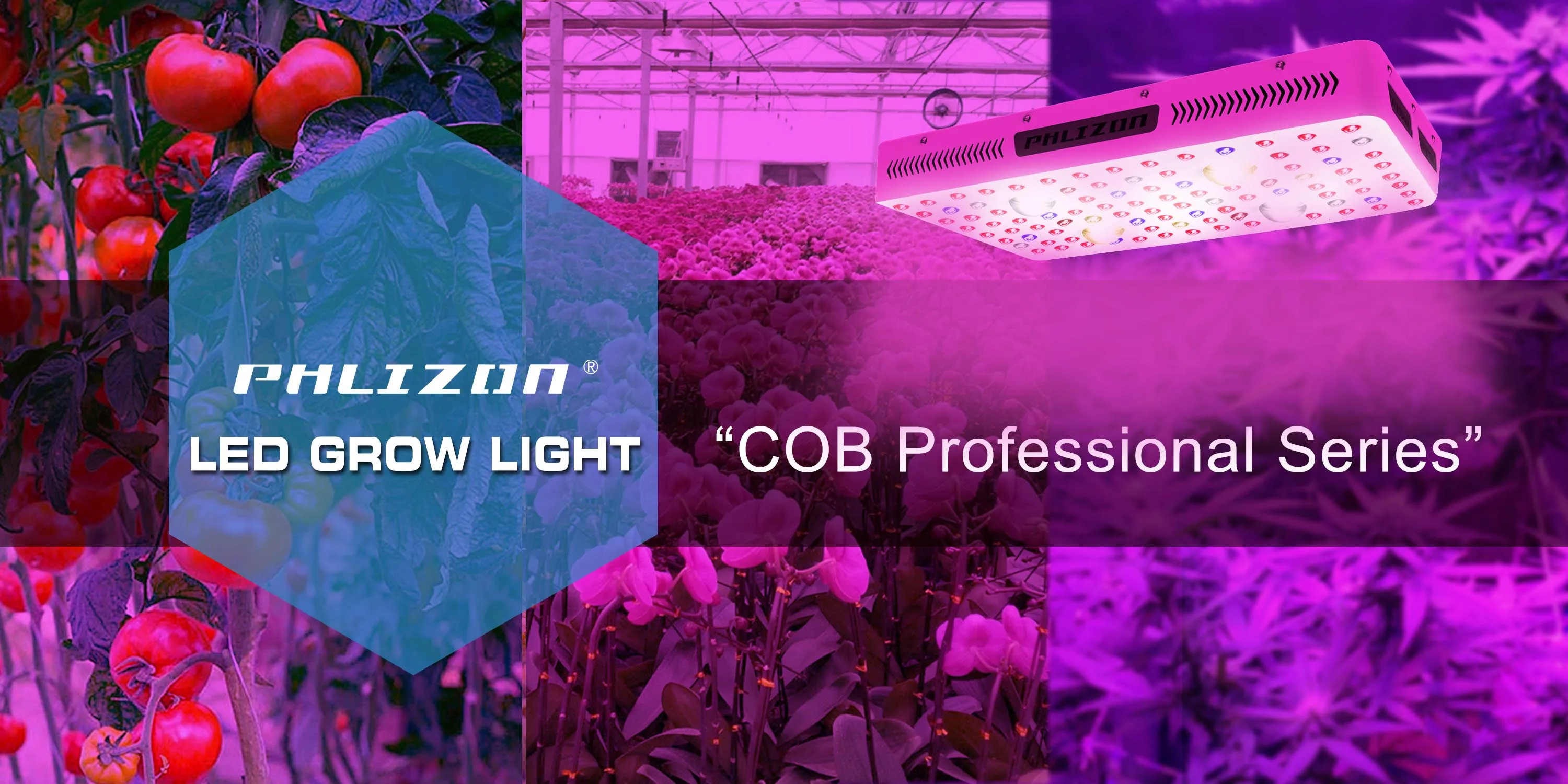 Phlizon Cxa2530 Cxb3590 Cob芯片用于商业栽培的led植物灯3000w灯生长灯全光谱 Buy Led 植物生长灯cob芯片用于商业种植的led植物灯 Cob Led植物生长灯cxb3590 Phlizon 3000w Led植物生长灯全光谱