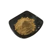 Plant Extract Hops Flower Extract Powder xanthohumol cas 6754-58-1 anthohumol for anticancer