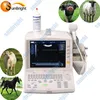 excellent ultrasound machine / 3D ultrasonic scanner for vet