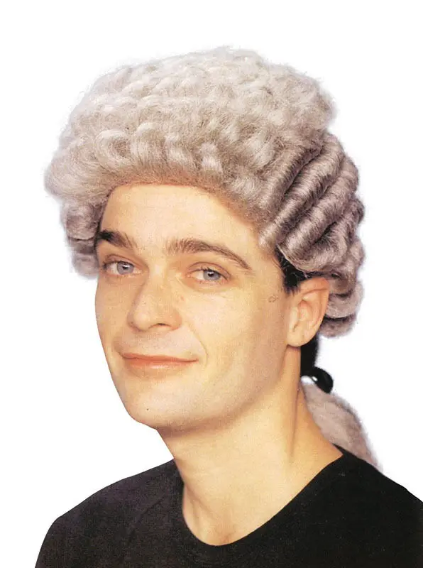 Barrister Fancy Dress Wig Court Judge 