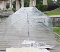 

Auto Open Cheapest parapluie Transparent PVC Clear Umbrella