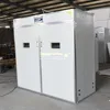 Solar Automatic Turning Egg hatchery machines 3168 chicken egg incubator