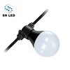 Holiday Outdoor DMX Festoon Lighting Copper Wire bulb RGB LED String Light