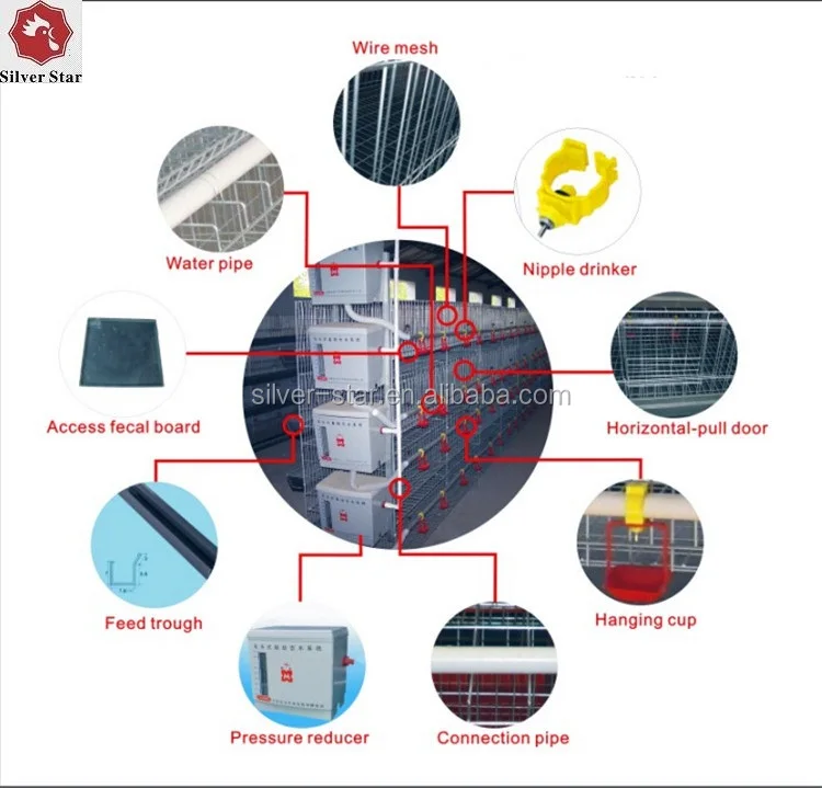 Chine Fabrication Poulailler Pour Poulets De Chair Et De Viande 