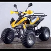 Automatic adult 110cc ATV and atv 110cc /125cc wheel motorcycle