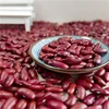 Red kidney bean with double polished on hot sale