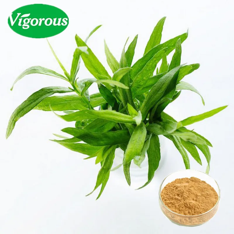 Natural Herb 101 Tarragon Extract Powder Buy Tarragon Extract Powder