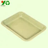 Molding Pulp Pressed Insert Custom Packaging Box Sugarcane Molded Pulp Tray