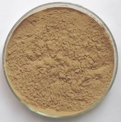 
Best Selling Mushroom Polysaccharide Product Wholesale price 