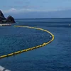 seaweed float fence barrier