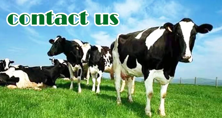 hot best sale industrial bulk refrigerated small vertical milk cooling tank price