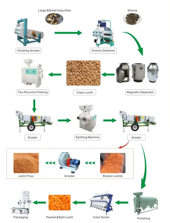 lentil processing 
