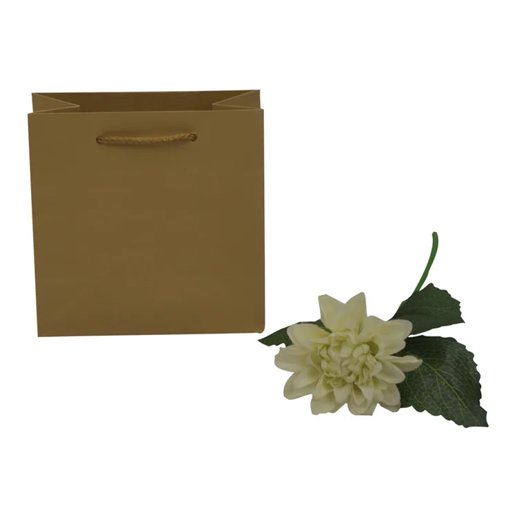 Custom recycle craft shopping packing kraft paper bag with rope handle