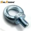 Metric Din580 Thread Eye Bolt