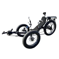 

ZZMERCK Free Shipping No DutyAdult Pedal Three Wheel Outdoor Sports Electric Pedal Assist 500W Fat Tire Recumbent Trike For Sale