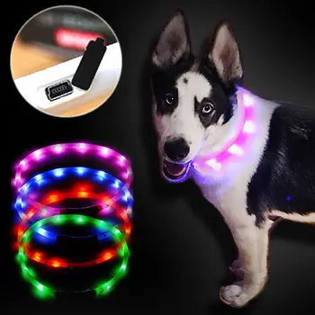 ver precio de collares luminosos perros ver precio de collares luminosos perros
