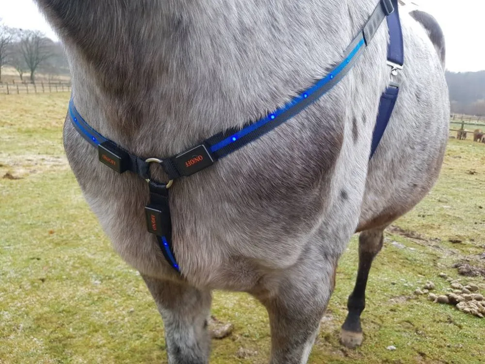 led 马带 usb 充电 led 闪烁马胸带