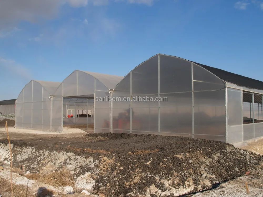 
Commercial Polycarbonate Venlo Greenhouse 