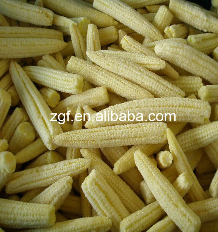 2017 HIGH quality grade A whole IQF frozen baby corn