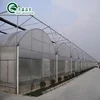 Multi Span Pc Greenhouse With 3gp King LED Grow Light