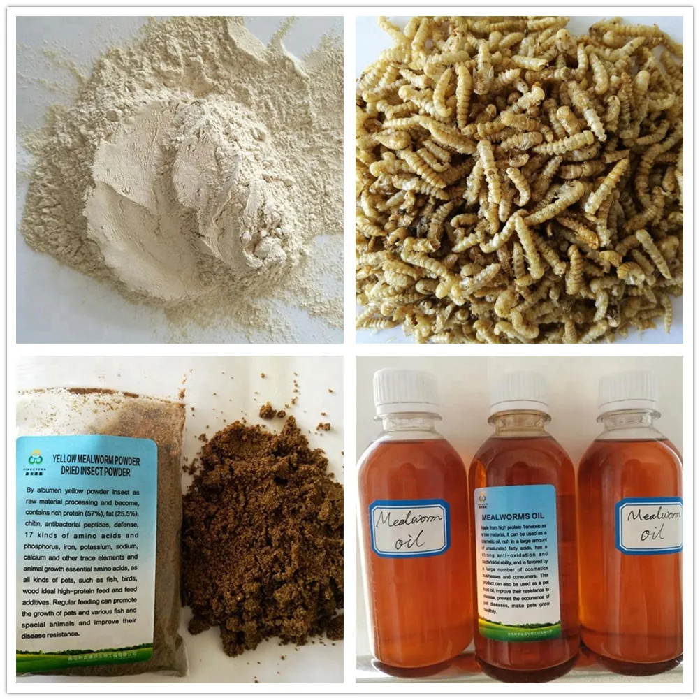 Bulk Packing And 5 Max Moisture Dried Mealworm For Animal Feed Pet