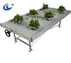 Nursery Greenhouse ebb/ flow rolling weight table/bench for planting in flood plastic tray