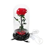 Red rose preserved flower wholesale preserved rose with stem and 10cm big head