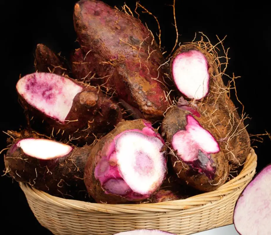 
Natural fresh Dioscorea alata rhizome for food  (60806730135)